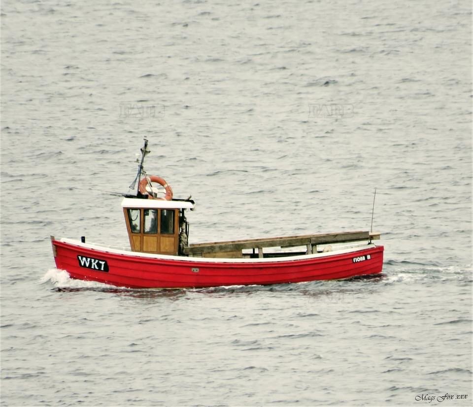Large picture for advert 124702