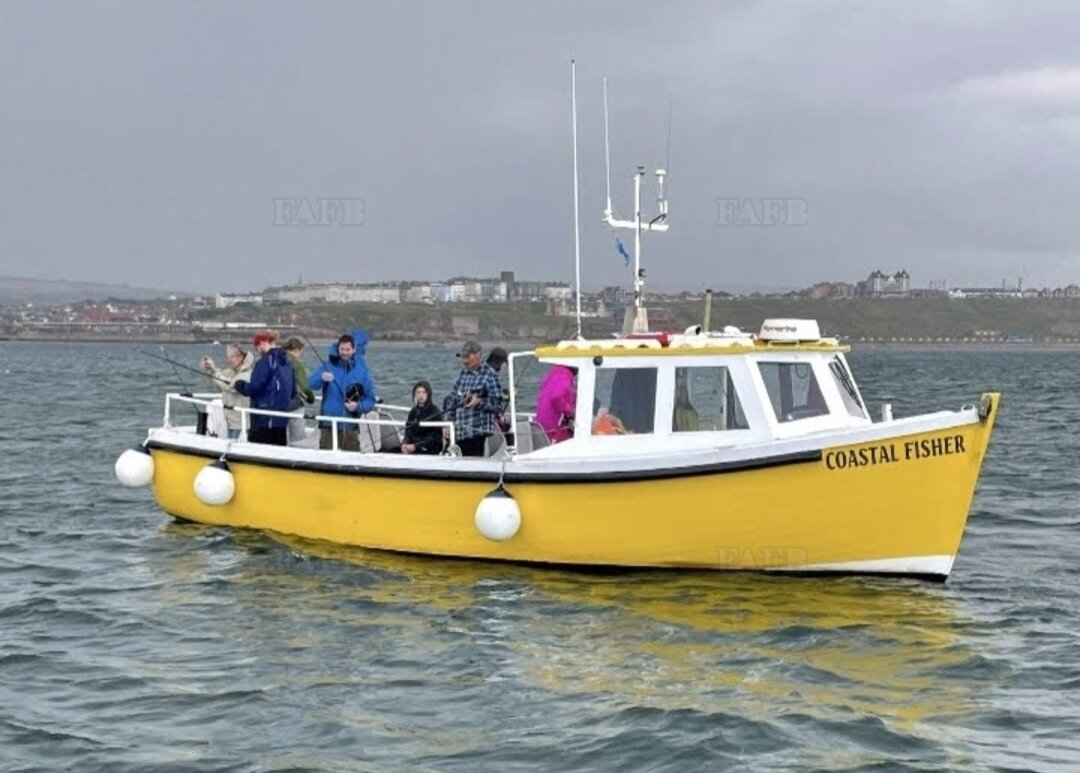 Large picture for advert 125252