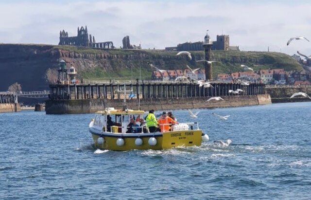Large picture for advert 125252