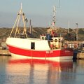 Extra picture for advert 122002