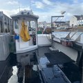 Extra picture for advert 109502