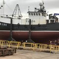Extra picture for advert 100452