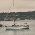 Extra picture for advert 119802